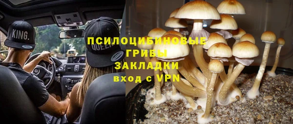 дурь Заводоуковск
