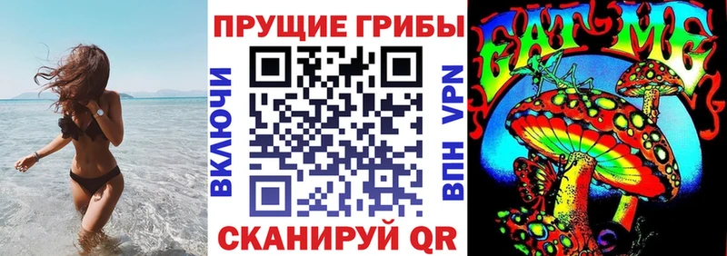 Купить где  Железногорск-Илимский  Псилоцибиновые грибы Psilocybine cubensis 
