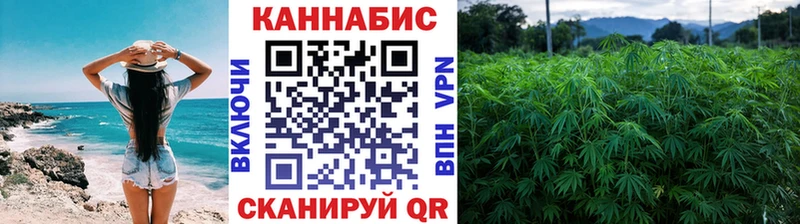 Канабис индика  Купить закладки  Железногорск-Илимский 